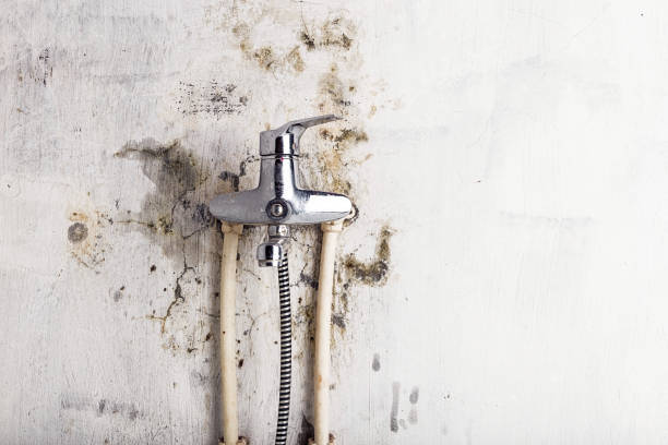 Best Water Damage Restoration  in American Falls, ID