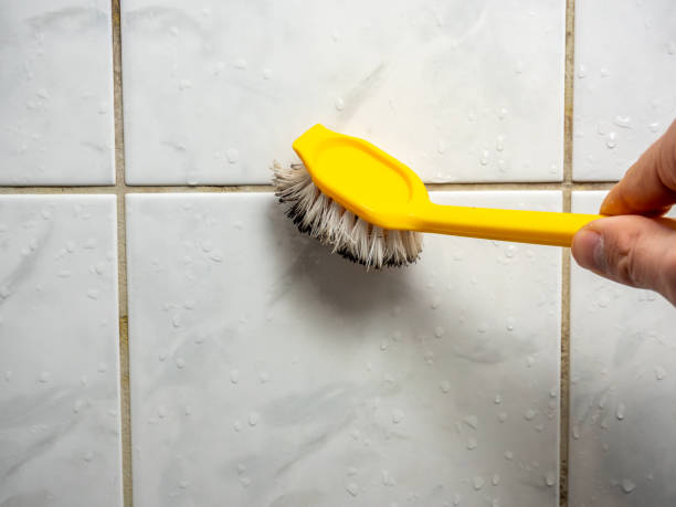 Best Best Mold Removal Companies  in American Falls, ID